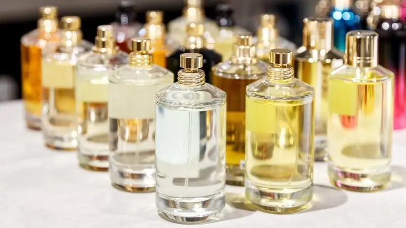 Free Shein Perfumes